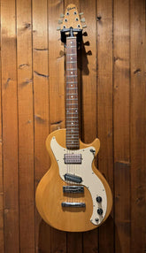 Gibson Marauder 1975 Beg Ink case