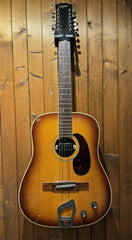 Bjärton/Hagström 12-String Beg Ink Case