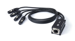Leem Nw-45F Rj45-4Pcxlr-F Box