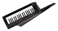 Korg Rk-100S-2Bk Keytar Black