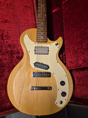 Gibson Marauder 1975 Beg Ink case