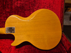 Gibson Marauder 1975 Beg Ink case