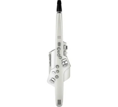 Roland Ae-10 Aerophone Digital Wind Instrument