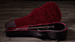 Taylor 250ce-BLK Plus