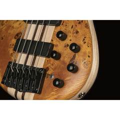 Cort A5 Plus Sc Aop W/Case