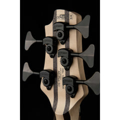 Cort A5 Plus Sc Aop W/Case