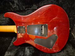 PRS CE 24 Tortoise Shell -91 Beg. Ink Hardcase