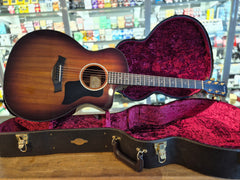 Taylor 224ce-K DLX Beg.