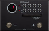 ROLAND TM-1
