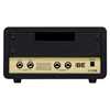 Friedman BE Mini Amp