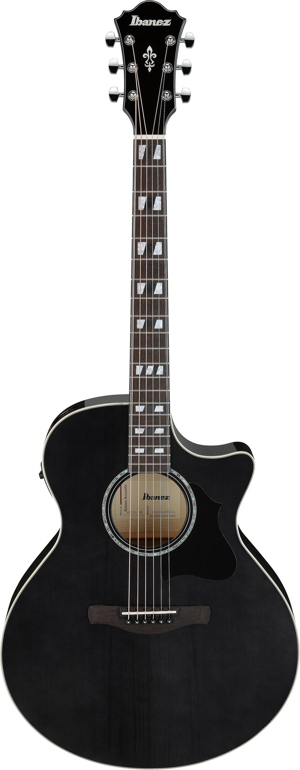IBANEZ AE170-TBK Western gitarr m/mik, AE Performer
