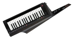 Korg Rk-100S-2Bk Keytar Black