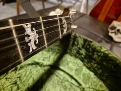 Deering Eagle II Banjo Beg ink Hardcase