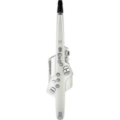 Roland Ae-10 Aerophone Digital Wind Instrument