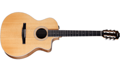 Taylor 214ce-N
