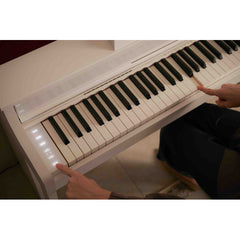 Casio Ap-550 Wh Smart Hybrid Celviano