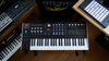 ASM Hydra Synth (B-stock error in display)
